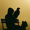unknow_25943
