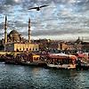 murat_72384