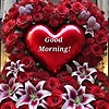 marie_69558