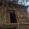 amit_27556