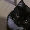 mertshuu