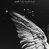 abeer_555