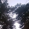 hana_72714