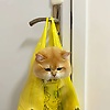 ririn_49804