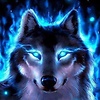 jay_214