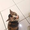 wildahtsy_72146