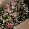 maria_72469