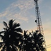 hamdia_69425