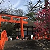 jsanthony_15007