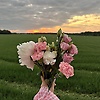 shahdrayan_94940