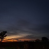 rosita_79797
