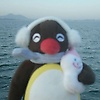 sama_19287