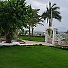 nks_31439