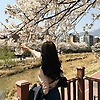 ari_28600