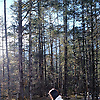 lynn_97813