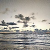 hassan_86653