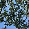 eyda_56777
