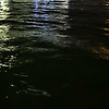 user_398861