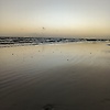 mario_46153
