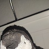 alex_90441