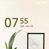arafa_26451
