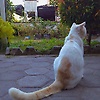 doosikjooh_73032