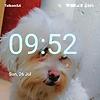 snegugu_70032