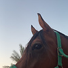 andrew_44065