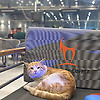 burak_39495