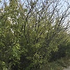 DashaS3