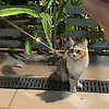 salma_29042