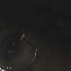 agnes_moonlight