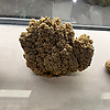 jiangxh_45339
