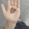 emine_49669