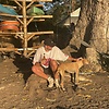 noah_81952