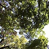 user_829175