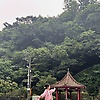 subin_25331