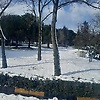 murat_64829