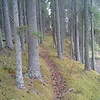 Prairie-Garden