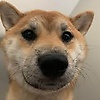gustavoooo_67091