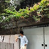 sajjad25