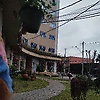 laah_21167