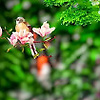 mdsayed_77717