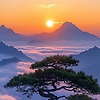 deborah_50850