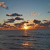 berna_41923
