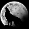 B_Wolf