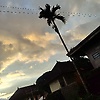 lias_29609
