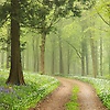 adam_61495