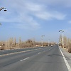 nora_97003