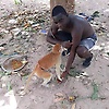 baba_62687